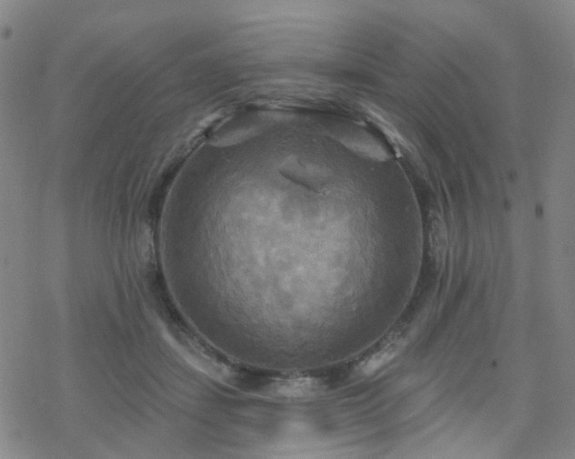 X0000070360459200606091036