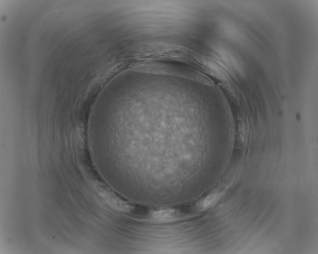 X0000070360461200606091036