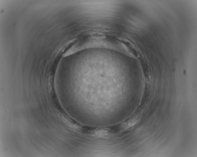 X0000070360462200606091036