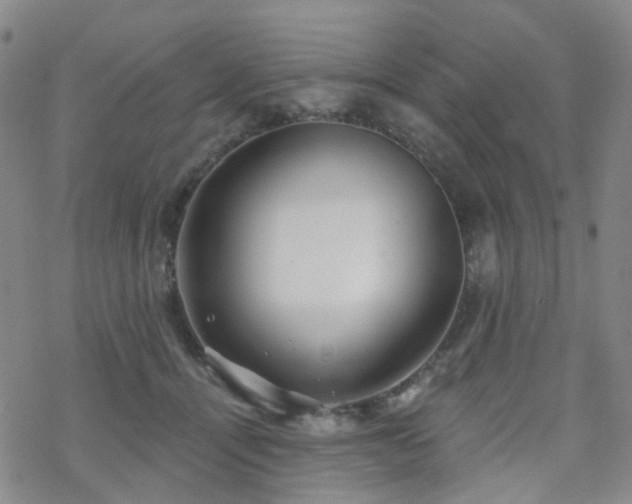 X0000070360464200606091036