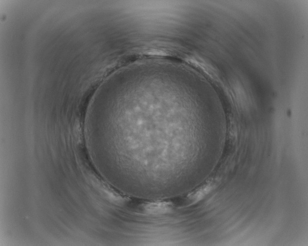 X0000070360465200606091036