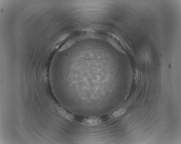 X0000070360466200606091036