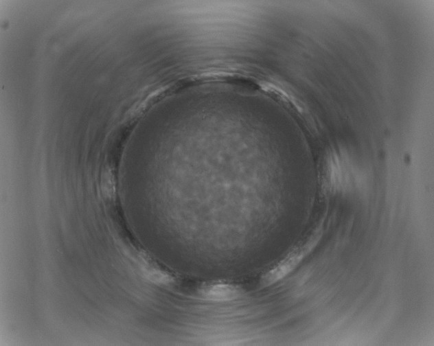 X0000070360467200606091036