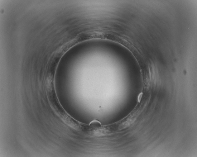 X0000070360468200606091036