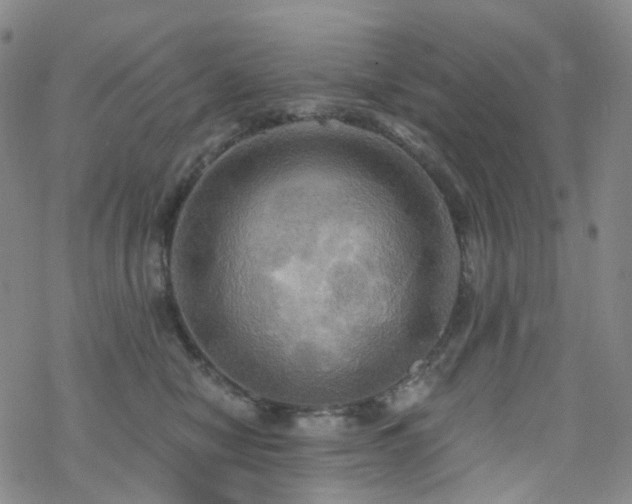 X0000070360470200606091036