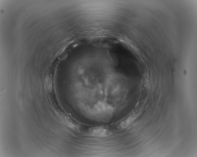 X0000070360471200606091036