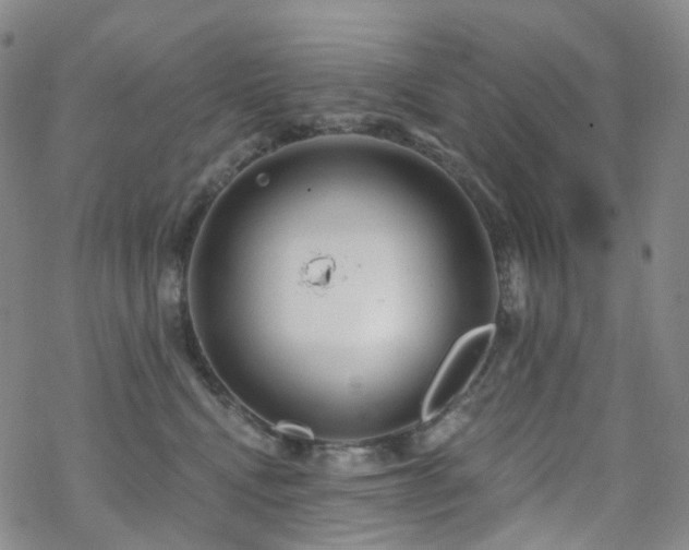 X0000070360472200606091036