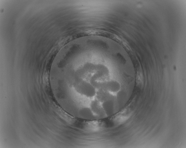 X0000070360473200606091036