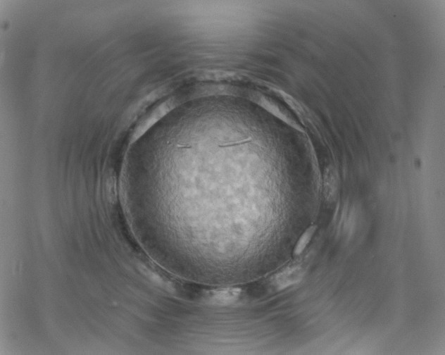 X0000070360474200606091036