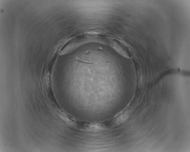 X0000070360475200606091036