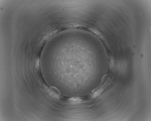 X0000070360477200606091036