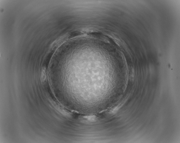 X0000070360478200606091036