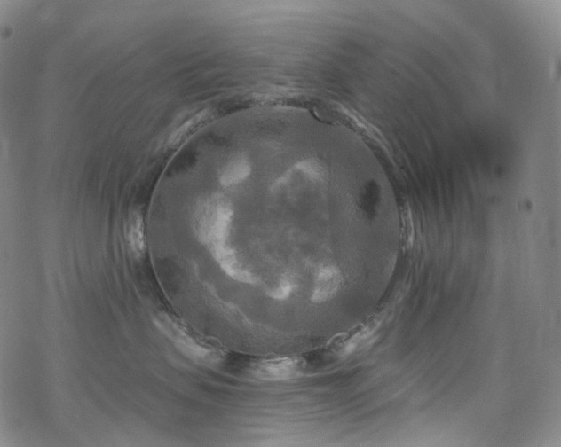 X0000070360479200606091036