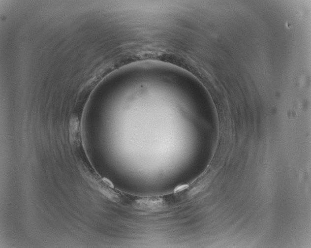 X0000070360480200606091036