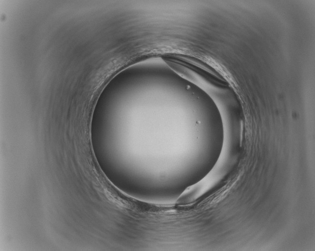 X0000070360481200606091035