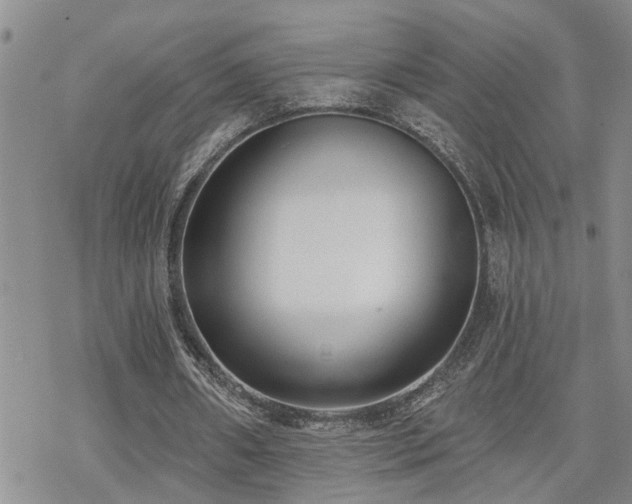 X0000070360482200606091035