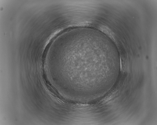 X0000070360483200606091035