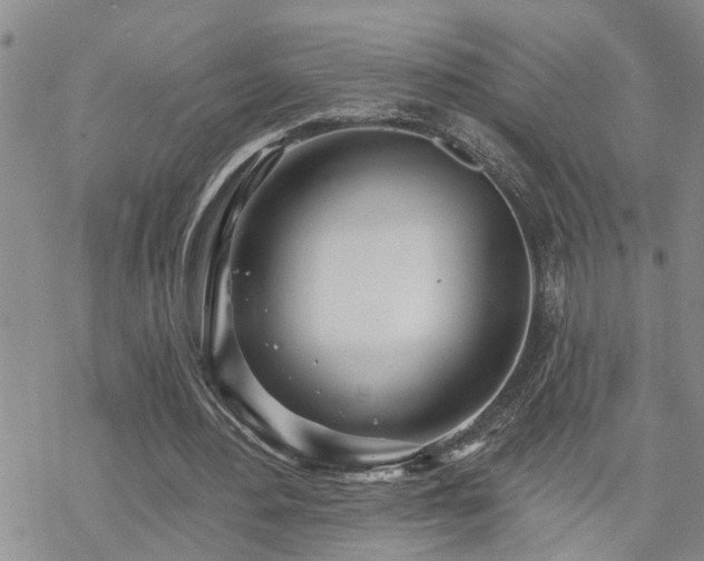 X0000070360484200606091035