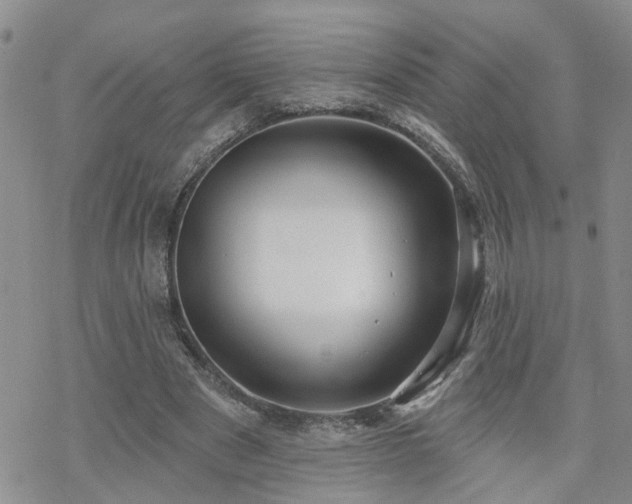 X0000070360489200606091035