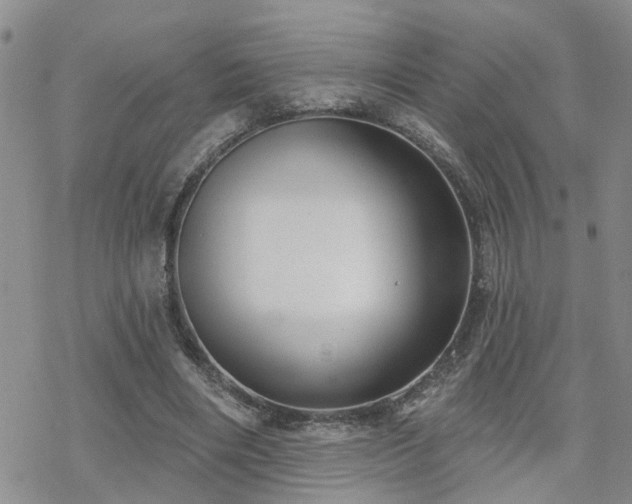 X0000070360490200606091035