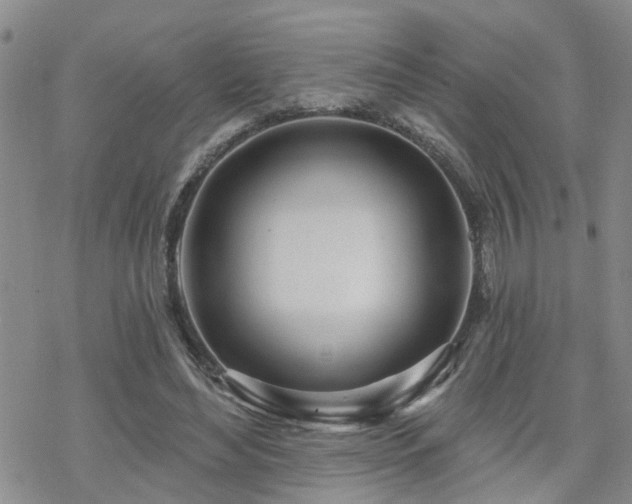 X0000070360492200606091035