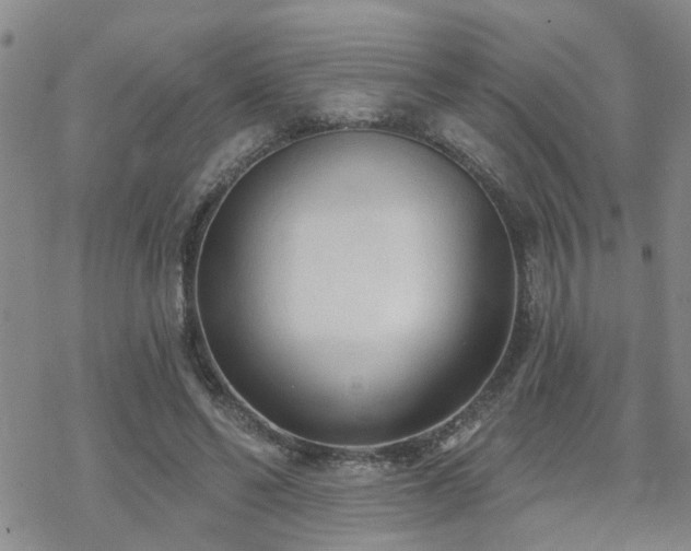 X0000070360494200606091035