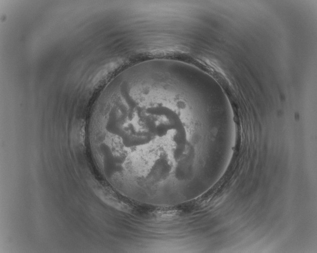 X0000070360495200606091035