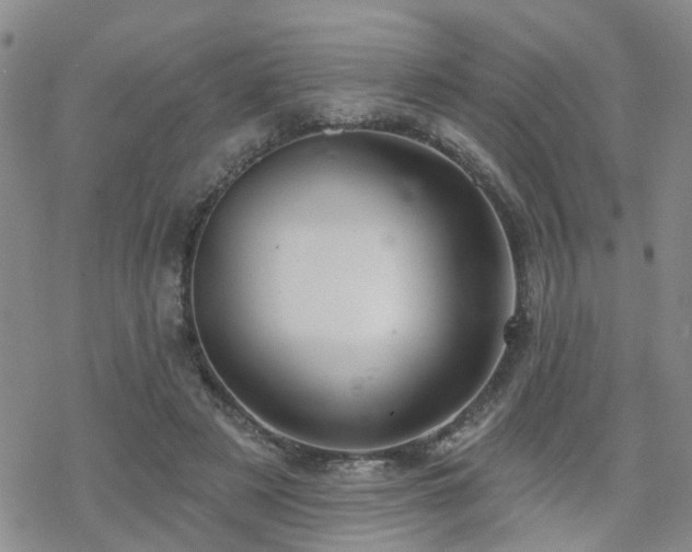 X0000070360497200606091035