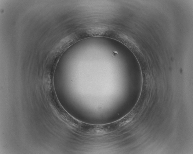 X0000070360498200606091035