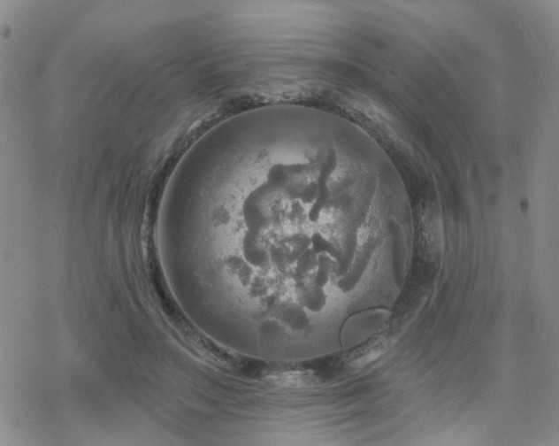 X0000070360499200606091035