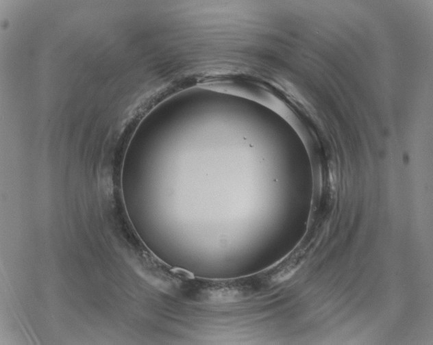 X0000070360500200606091035