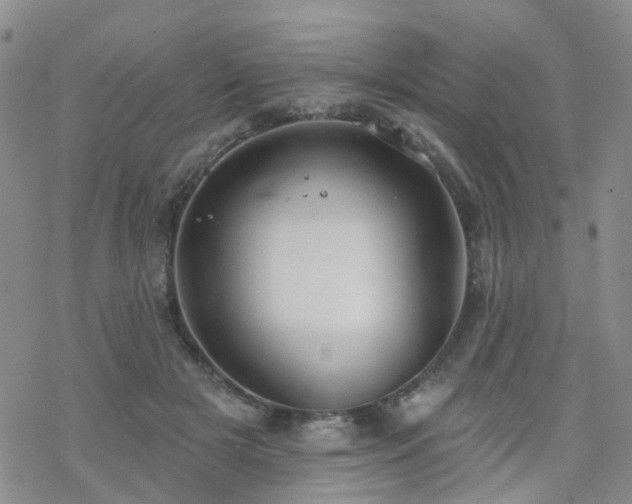 X0000070360505200606091035