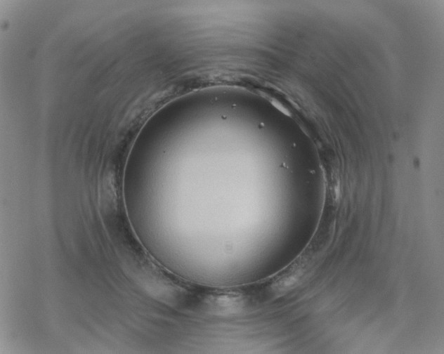 X0000070360506200606091035