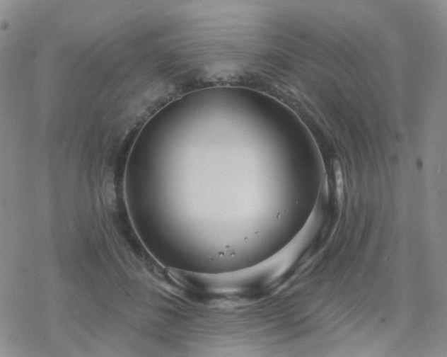 X0000070360508200606091035