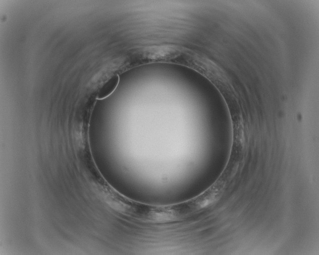 X0000070360510200606091035