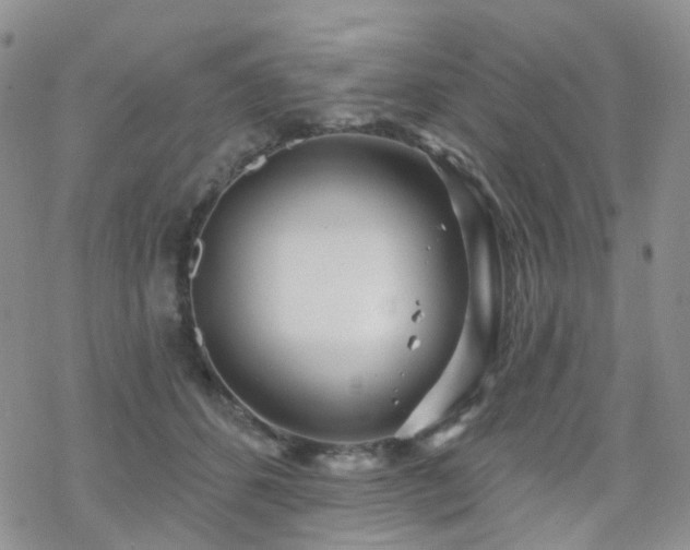 X0000070360512200606091035