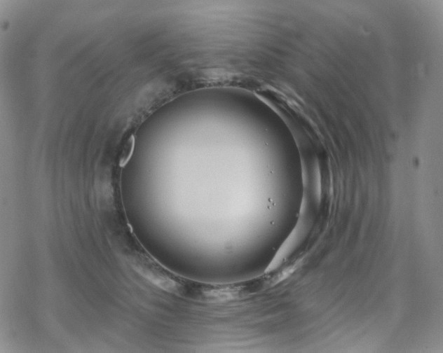 X0000070360516200606091035