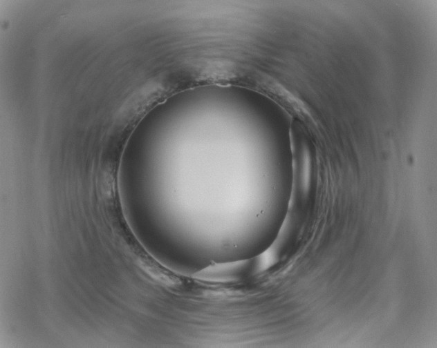 X0000070360517200606091035