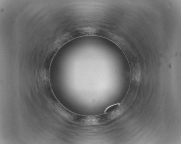 X0000070360518200606091035