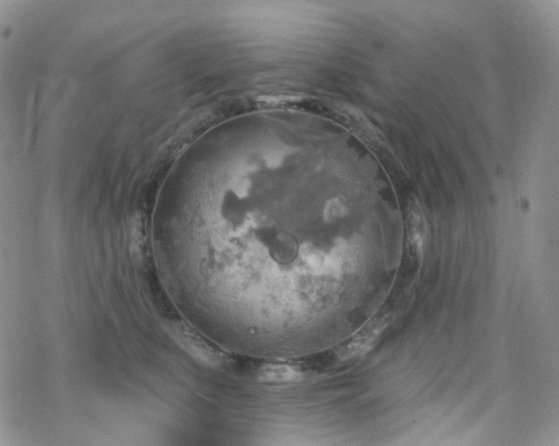 X0000070360519200606091035