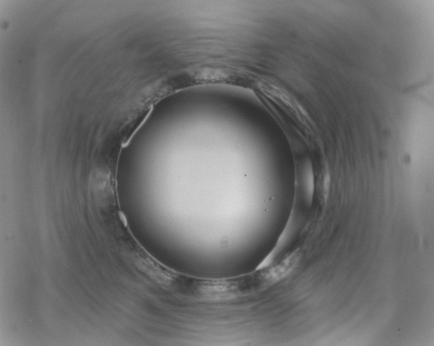 X0000070360521200606091035