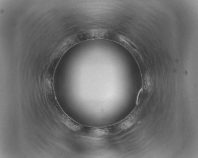 X0000070360522200606091035