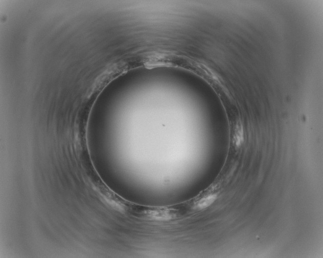 X0000070360524200606091035