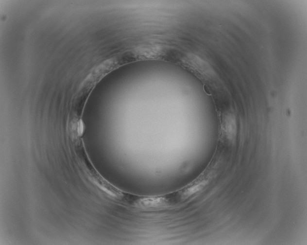 X0000070360526200606091035