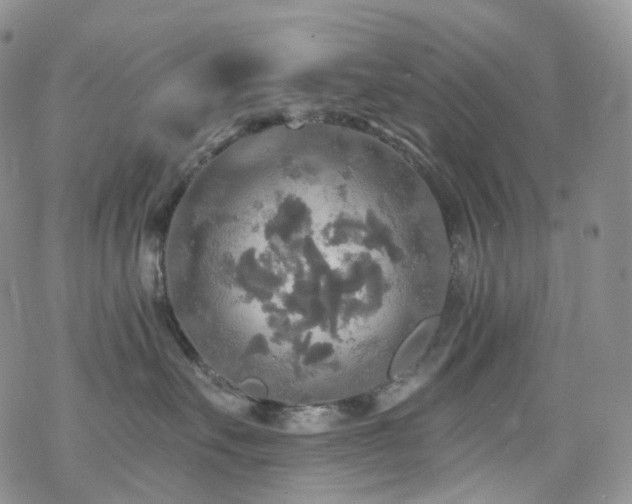 X0000070360527200606091035