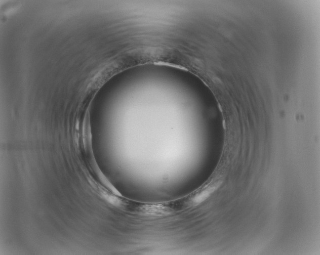 X0000070360528200606091034