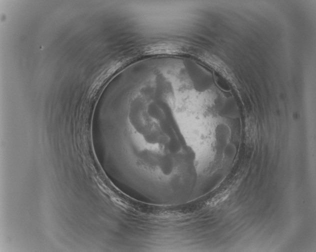 X0000070360529200606091034