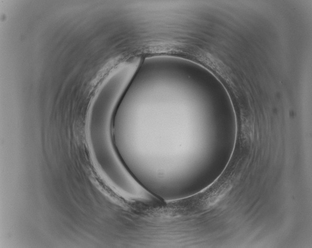 X0000070360530200606091034