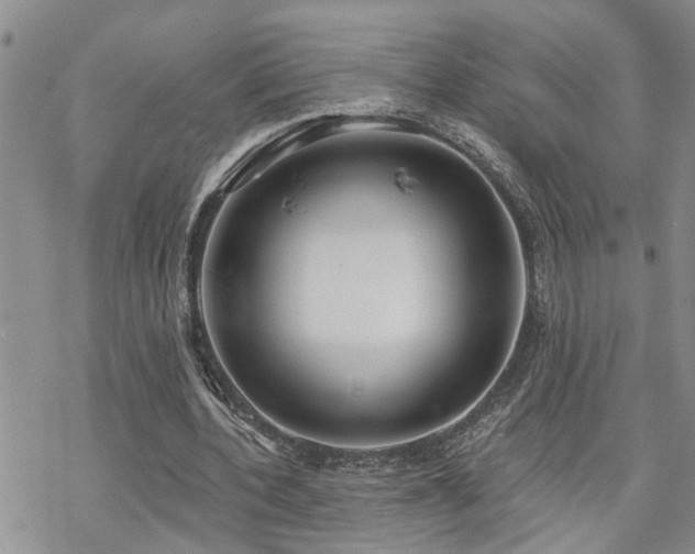 X0000070360532200606091034