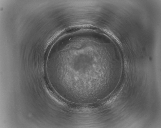 X0000070360533200606091034